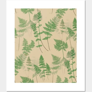 Fern Forest Posters and Art